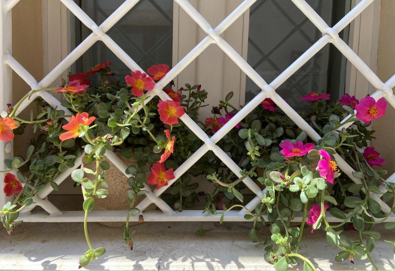 The Painted House, Nei Vicoli Di Sirolo Posto Spiaggia In Omaggio מראה חיצוני תמונה